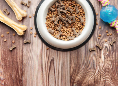 A bowl with dog food, dog treats and toys on a wooden floor. Concept of healthy food for dogs.