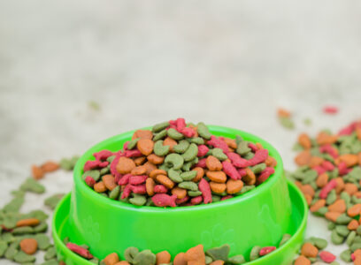 A composition of pet food alongside a dog collar all set against a rustic wooden background